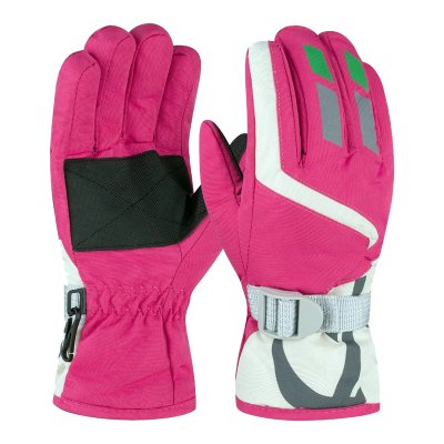 Ski Gloves