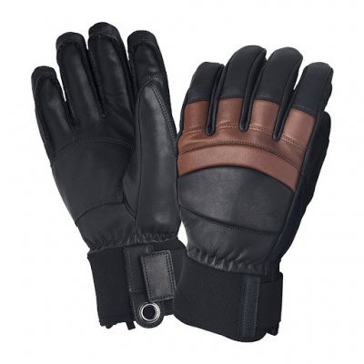 Ski Gloves