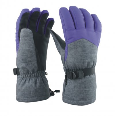 Ski Gloves